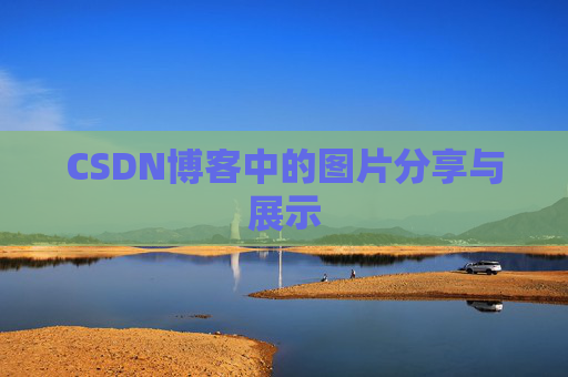 CSDN博客中的图片分享与展示